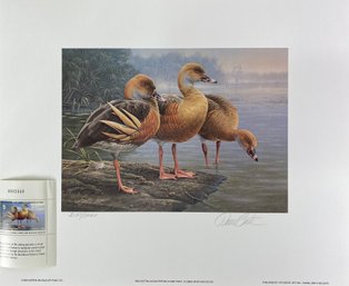 Daniel Smith - Australia 1989-1990 - 4 Kakadu Stamps And Prints - Ready For Matte And Framing