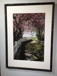 Lovely Photograph S C DOYLE ? - Of Rowayton Possibly - 2009 Pathway To Spring - Nicely Framed - 33' X 24'