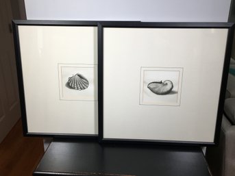 Paid $495 Each - Fantastic Vintage Style Pair Of Shell Specimen Prints From Lillian August - 21' X 21'