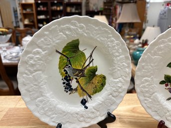 National Audubon Society New York Bird Plates