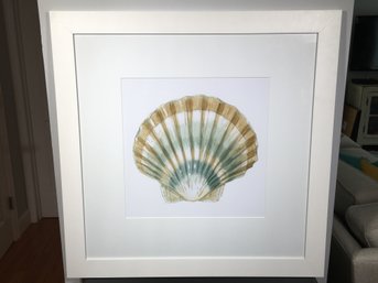 Beautiful Large Pair Of ETHAN ALLEN Giclee Prints - 30' X 30' Images Of Seashells - Originals Were Watercolor