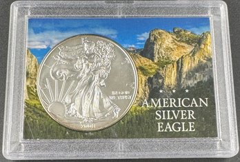 2008 American Eagle Silver Dollar