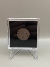 Beautiful 1919 Buffalo Nickel In Plastic Case