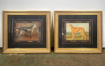 A Pair Of Elegant Framed Canine Prints