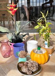 An Assortment Of Plants And Planters
