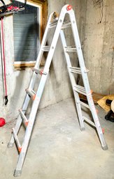 A Little Giant Extension Ladder