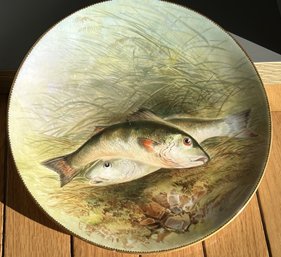 Antique Ca. 1870 EDWIN BODLEY HANBD PAINTED PORCELAIN FISH PLATE- Breeding Sea Perch In Grass Bed