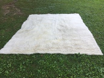 POTTERY BARN TEEN PB TEEN CREAMY WHITE IVORY WOOL SHAG RUG, 8x10