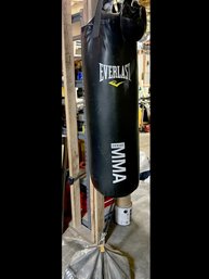 A Everlast MMA Bag - Includes Gloves & Hanger