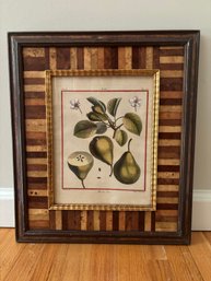 French Botanical Etching Martin Sec .Pears Framed