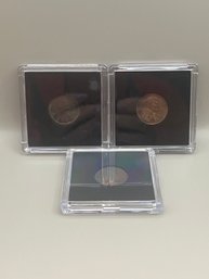 3 Beautiful Wheat Pennies 1917, 1918, & 1919 In Plastic Cases