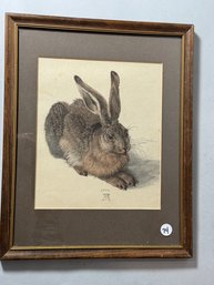 AN ALBRECHT DURER PRINT OF A RABBIT