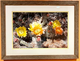 Cactus Flower Print Framed