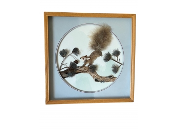 Squirrel 3D Framed Art