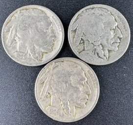 Lot Of 3 Buffalo Nickels 1929, 1929-D, 1929-S