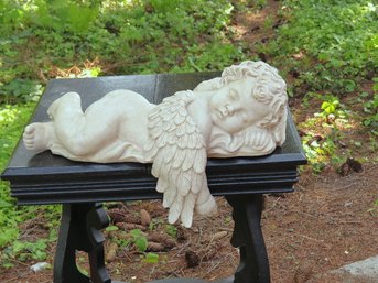 A Winged Angel Asleep Along The Edge