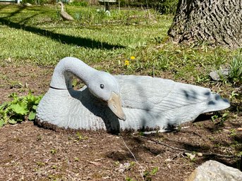 Realistic Swan Decoy Of Light Weight Plastic