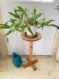 Plant On Stand Table And Green Plastic Watering Can