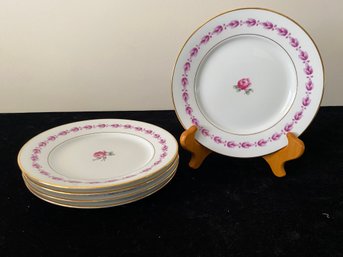 Several Piece Richard Ginori Plate Collection