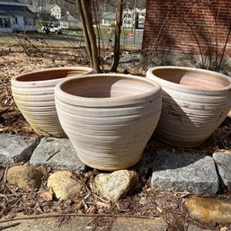 A Set Of 3 Terracotta Planters - 2/2
