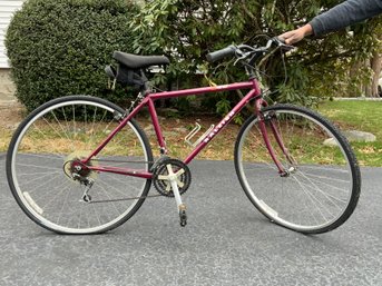 Raleigh C 40 Bike