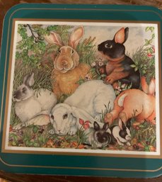 Pimpernel Rabbit Coasters - England