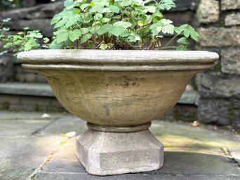 A Vintage Cast Stone Planter With Live Plants