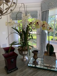Lillian August Orchid, Planters & Mirrored Tray /  Floral Decor Grouping /