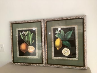 Pair Of Citrus Prints