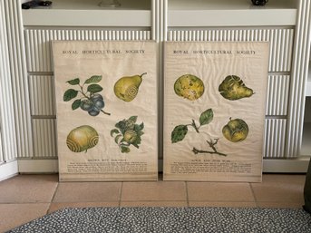 Vintage Royal Horticultural Society Gardening Chart Prints - Set Of 2