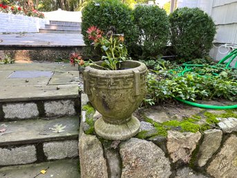 Pair Of Cement Planters