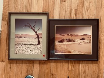 TWO COLOR PHOTOGRAPHS OF A DESERT