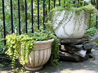 A Pairing Of Cast Acrylic And Earthenware Pots With Live Plants