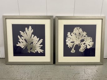Two Coral Prints With Navy Background In Silver Frames