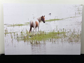 Horse In The Water Print By Tom Kretsch, Westport Artist