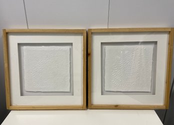 Pair Of Framed Fern Leaf Embossed Paper Art Specimens
