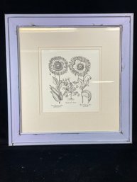 Framed Botanical Print - Tenklien Creticum