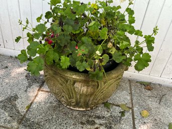 Large Cement Planter (2 Of 2)