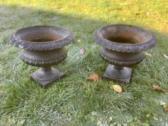 Heavy Cast Iron Planters