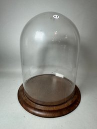 A LARGE VICTORIAN DISPLAY DOME