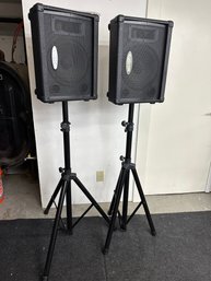 Kustom 10in Floor Speakers