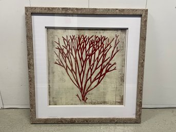 Framed & Matted Red Fan Coral Print