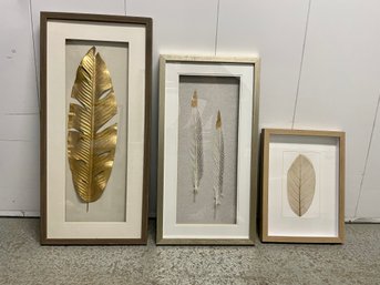 Trio Of Vertically Framed Organic Art Specimens