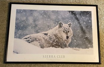 Framed Poster Winter Wolf