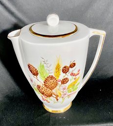 Vintage Unique China Coffee Pot