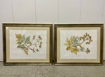 Pair Of Custom Framed Botanicals With Linen Mats