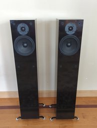 A Pair Of Classic NHT Super Two Floor Standing Speakers