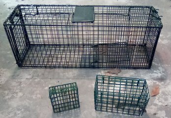 ACES Animal Care Equipment & Services Humane Trap & 2 Suet Feeders