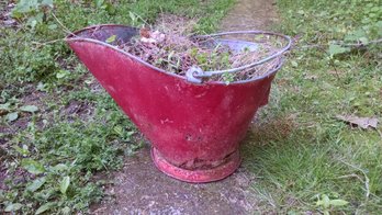 Vintage Ash Bucket Planter