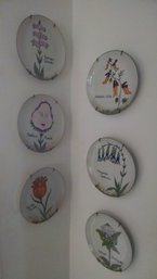 Decorative Wall Plates (6 Pieces)  8'd